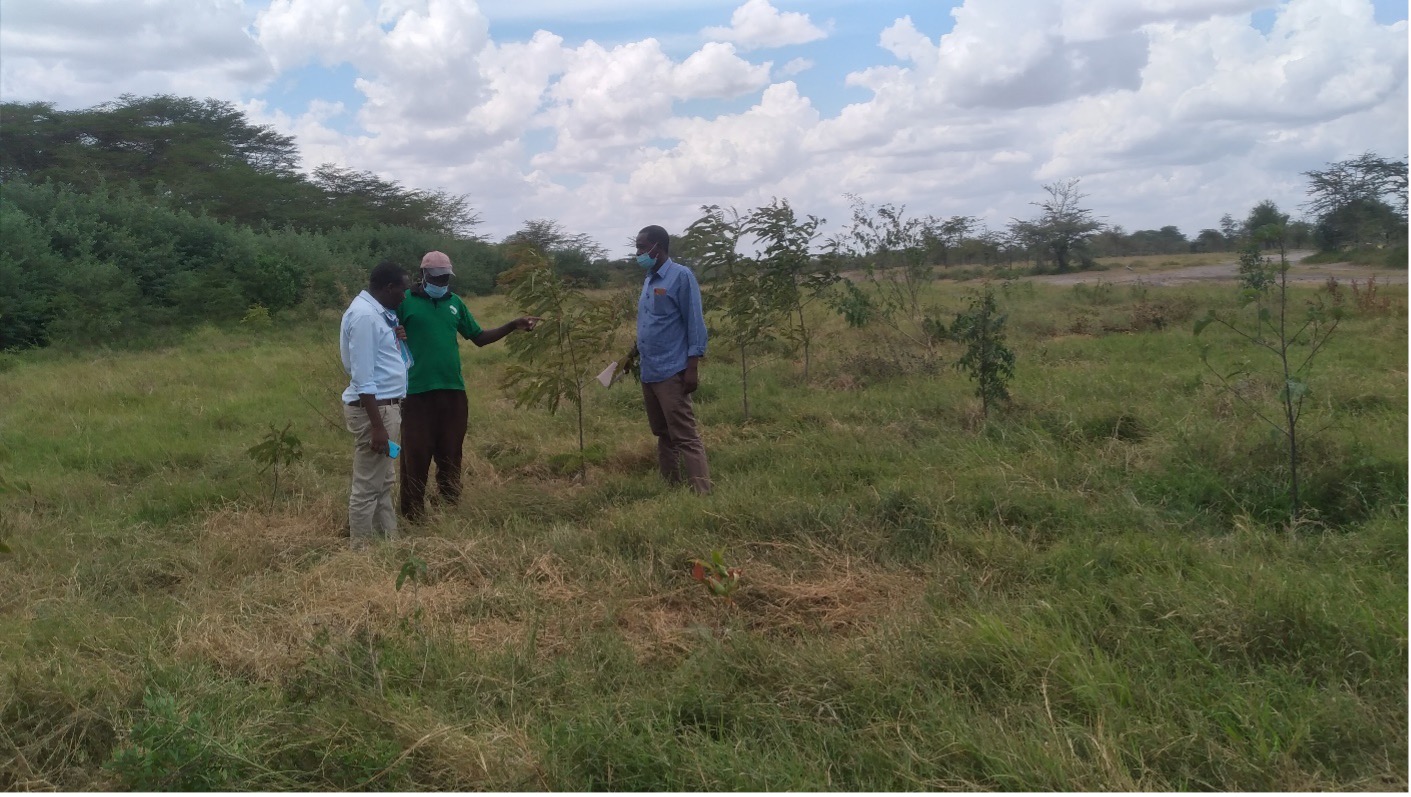 Community Based Nature Restoration And Protection Of The Degraded Kiu/Kiboko Catchment In Makueni County