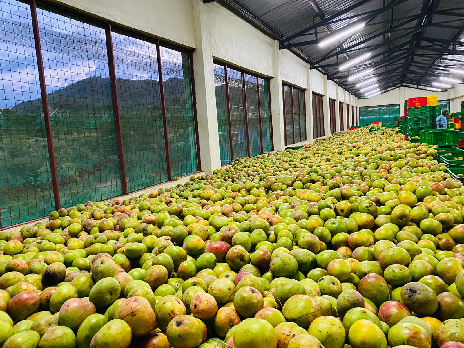 Makueni fruit processing plant 