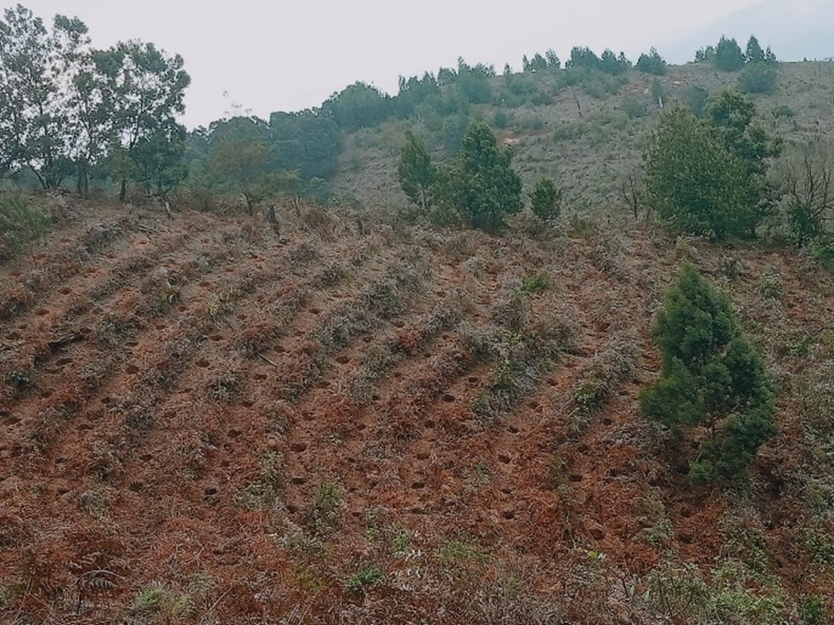 Restoration of the Makuli–Nzaui landscape 