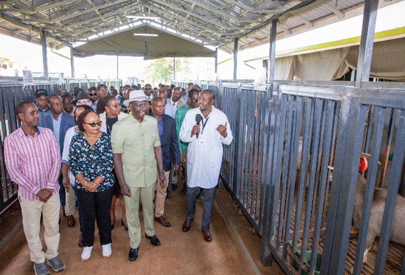 H. E President William Samoei Ruto, Governor Anne Mumbi Waiguru and PS during the launch of the Goat AI