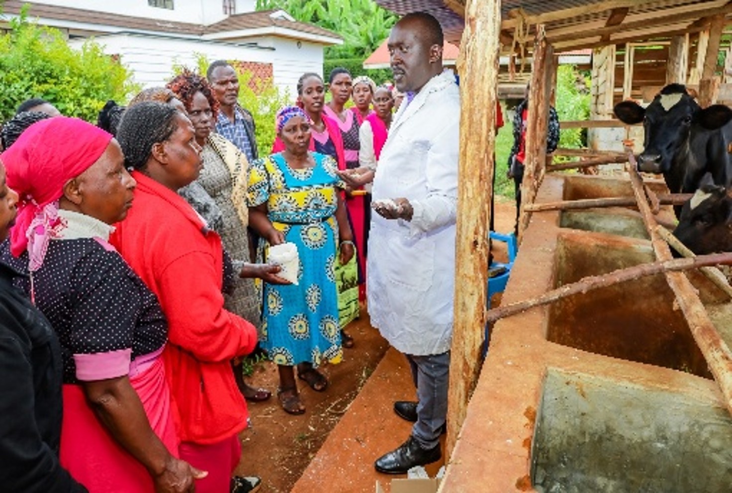 Stephen Macharia, a dairy farmer from Muriganio Self Help Group in Njukiini Ward, Kirinyaga County showcasing his improved animal farm